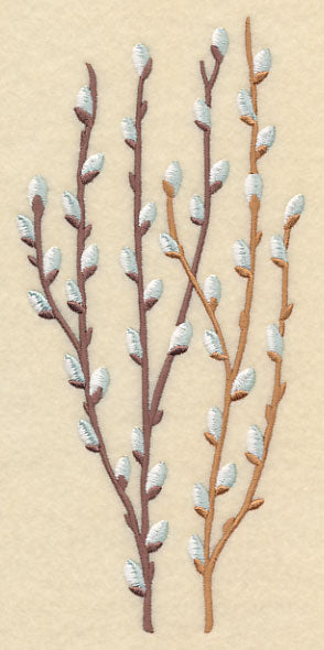 Pussy Willow Bunch 2