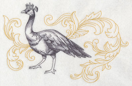 Peahen in Crown