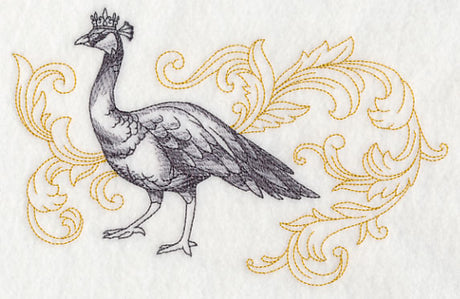 Peahen in Crown