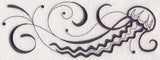 Inky Jellyfish Border