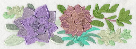 For the Love of Succulents Border