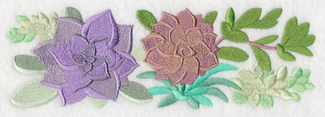 For the Love of Succulents Border