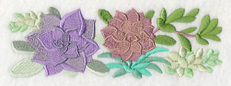 For the Love of Succulents Border
