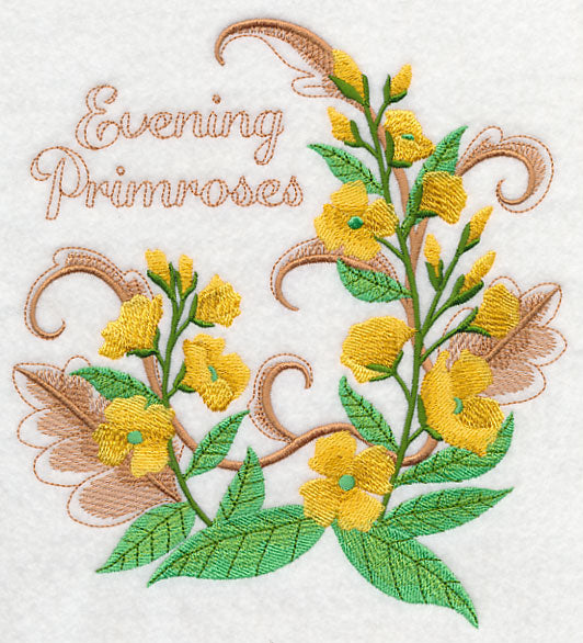 Evening Primroses with Flourish