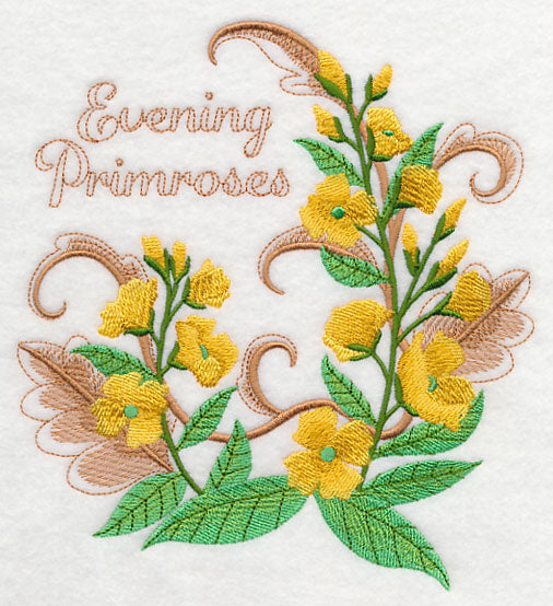 Evening Primroses with Flourish