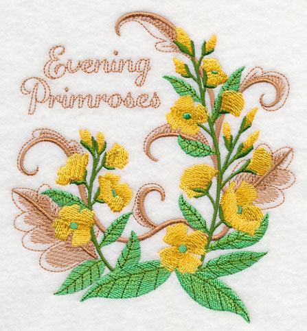 Evening Primroses with Flourish