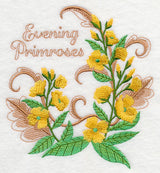 Evening Primroses with Flourish