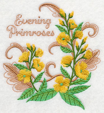 Evening Primroses with Flourish