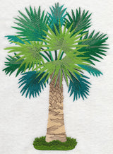 Palmetto