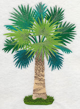 Palmetto