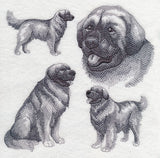 Leonberger Sketch