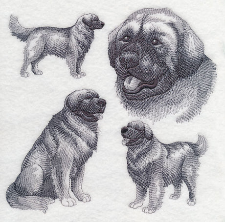 Leonberger Sketch