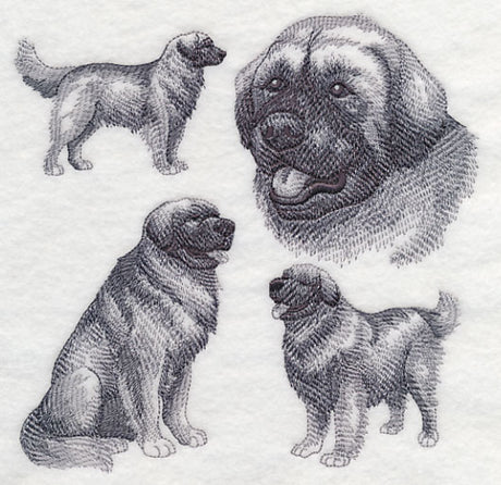 Leonberger Sketch