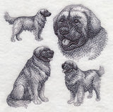 Leonberger Sketch