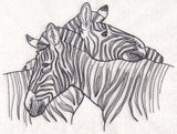Nuzzling Zebras Etching