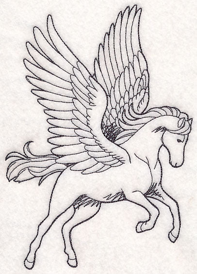 Pegasus Etching