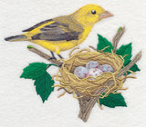 Scarlet Tanager and Nest