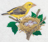 Scarlet Tanager and Nest