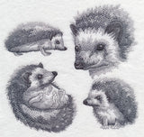 Hedgehog Sketch