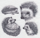 Hedgehog Sketch