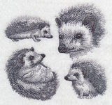 Hedgehog Sketch