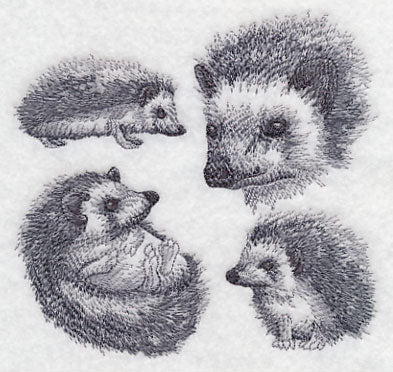Hedgehog Sketch