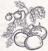 Tomato Etching