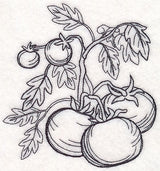 Tomato Etching