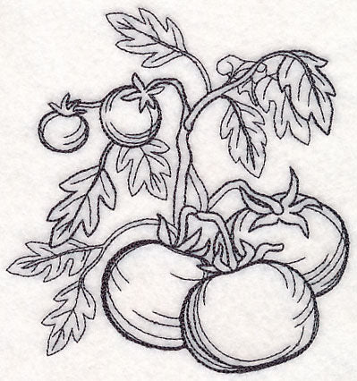 Tomato Etching