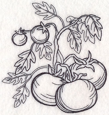 Tomato Etching