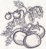 Tomato Etching