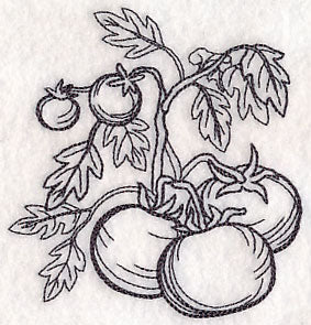 Tomato Etching