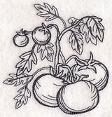 Tomato Etching
