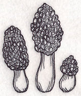 Morel Mushroom Etching