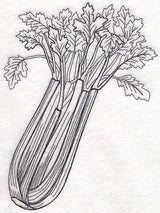 Celery Etching