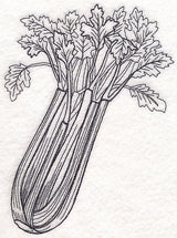 Celery Etching