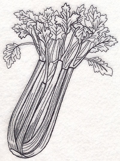 Celery Etching