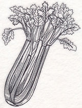 Celery Etching