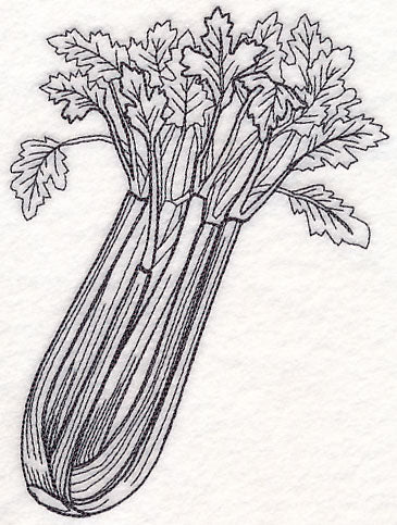 Celery Etching