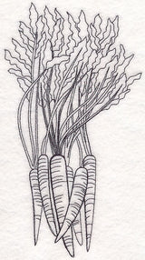 Carrot Etching
