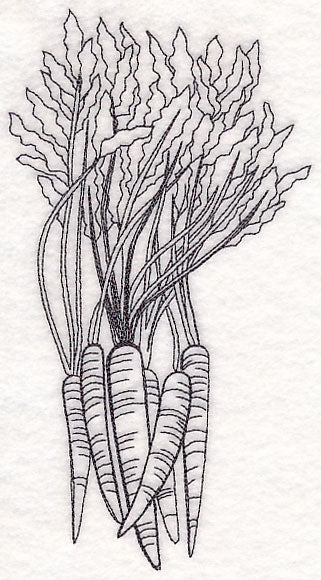 Carrot Etching