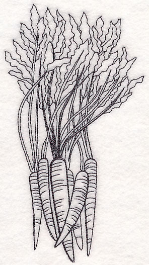 Carrot Etching