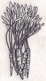 Carrot Etching