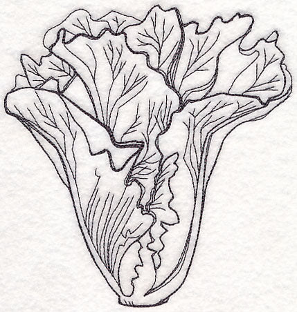 Lettuce Etching