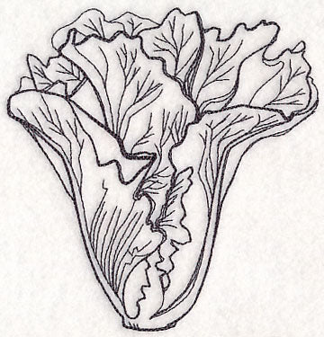 Lettuce Etching