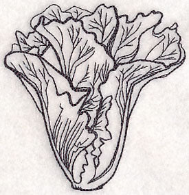 Lettuce Etching