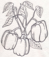 Bell Pepper Etching