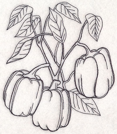 Bell Pepper Etching