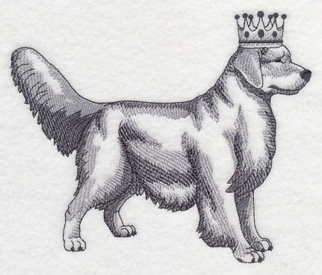 Golden Retriever in Crown