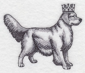 Golden Retriever in Crown